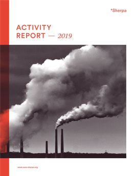 Activity Report — 2019