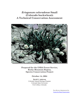 Eriogonum Coloradense Small (Colorado Buckwheat): a Technical Conservation Assessment