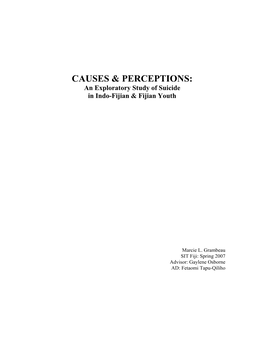 CAUSES & PERCEPTIONS: an Exploratory