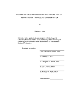 Phosphatidylinositol-3 Kinase/Akt and Fos Like Protein 1