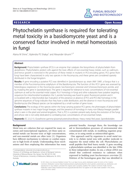 Phytochelatin Synthase Is Required for Tolerating Metal