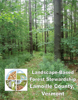 Landscape-Based Forest Stewardship Lamoille County, Vermont