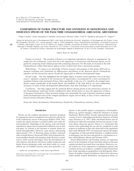 Comparison of Floral Structure and Ontogeny in Monoecious and Dioecious Species of the Palm Tribe Chamaedoreeae (Arecaceae; Arecoideae)