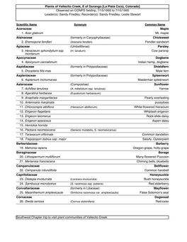 Plants of Vallecito Creek, E of Durango
