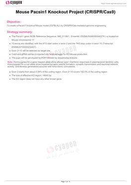 Mouse Pacsin1 Knockout Project (CRISPR/Cas9)