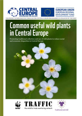 Common Useful Wild Plants in Central Europe