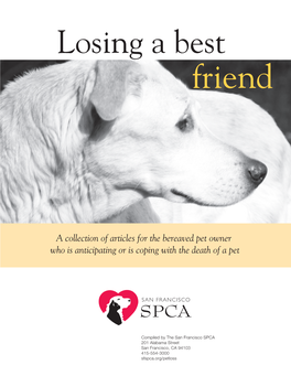 Losing a Best Friend