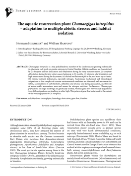 The Aquatic Resurrection Plant Chamaegigas Intrepidus – Adaptation to Multiple Abiotic Stresses and Habitat Isolation