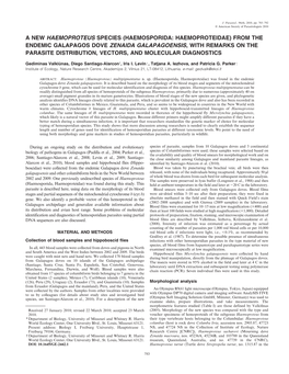 A New Haemoproteus Species (Haemosporida: Haemoproteidae)