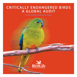 Critically Endangered Birds: a Global Audit