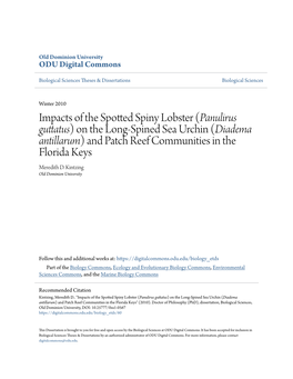 Impacts of the Spotted Spiny Lobster (&lt;I&gt;Panulirus Guttatus&lt;/I&gt;)
