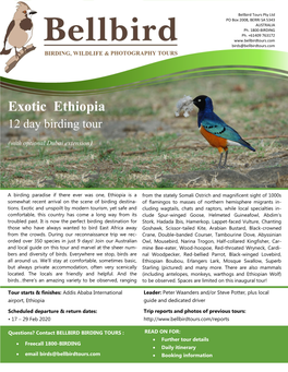 Exotic Ethiopia