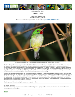 Jamaica I 2019 BIRDS