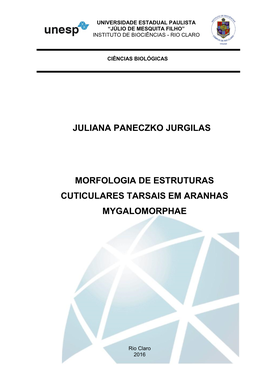 Juliana Paneczko Jurgilas Morfologia De Estruturas Cuticulares Tarsais Em Aranhas Mygalomorphae