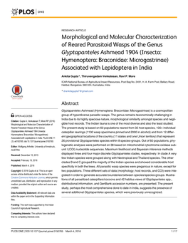 Morphological and Molecular Characterization of Reared