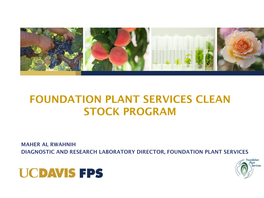 Foundation Plant Services Clean Stock Program