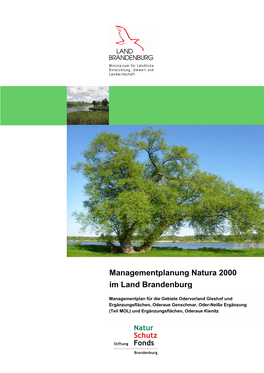 Managementplanung Natura 2000 Im Land Brandenburg