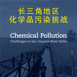 Chemical Pollution Challenges in the Yangtze River Delta