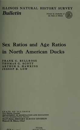 In North American Ducks