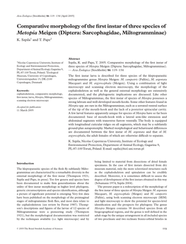 Comparative Morphology of the First Instar of Three Species of Metopia