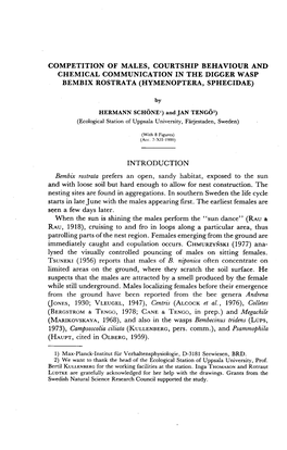 Competition of Males, Courtship Behaviour and Chemical Communication in the Digger Wasp Bembix Rostrata (Hymenoptera, Sphecidae)