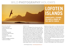 Lofoten Islands Landscapes, Fishing Villages & Birds in the Arctic Circle