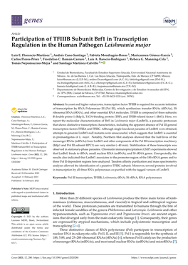 Participation of TFIIIB Subunit Brf1 in Transcription Regulation in the Human Pathogen Leishmania Major