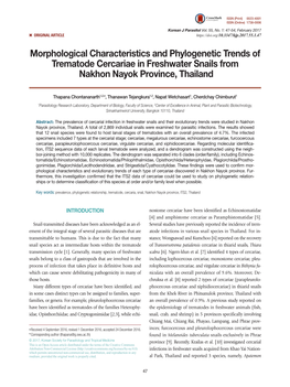 Morphological Characteristics and Phylogenetic Trends of Trematode Cercariae in Freshwater Snails from Nakhon Nayok Province, Thailand