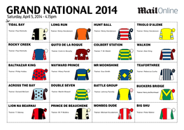 GRAND NATIONAL 2014 Saturday, April 5, 2014 - 4.15Pm