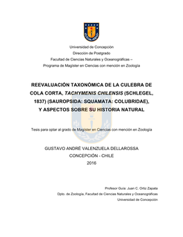 Reevaluación Taxonómica De La Culebra De Cola Corta, Tachymenis Chilensis (Schlegel, 1837) (Sauropsida: Squamata: Colubridae), Y Aspectos Sobre Su Historia Natural