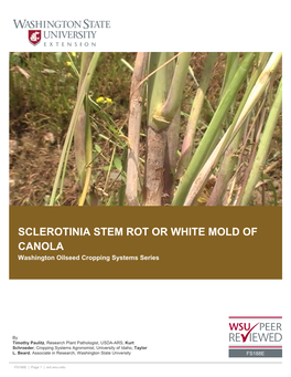 SCLEROTINIA STEM ROT OR WHITE MOLD of CANOLA Washington Oilseed Cropping Systems Series