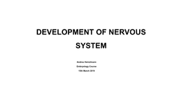 Development of Nervous System