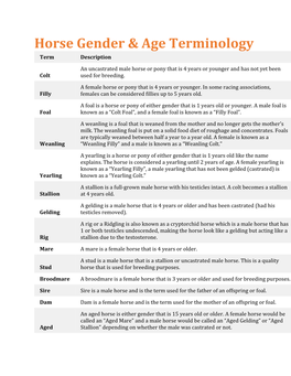 Horse Gender & Age Terminology