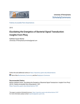 Elucidating the Energetics of Bacterial Signal Transduction: Insights from Phoq