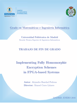 Implementing Fully Homomorphic Encryption Schemes in FPGA-Based Systems
