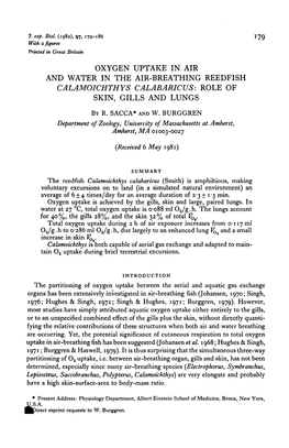 Oxygen Uptake in Air and Water in the Air-Breathing Reedfish Calamoichthys Calabaricus: Role of Skin, Gills and Lungs