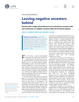 Leaving Negative Ancestors Behind