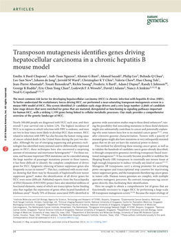 Transposon Mutagenesis Identifies Genes Driving Hepatocellular Carcinoma in a Chronic Hepatitis B Mouse Model