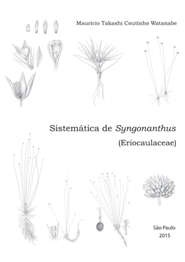 Sistemática De Syngonanthus (Eriocaulaceae)