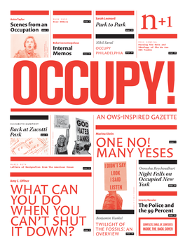 An OWS-Inspired Gazette Elizabeth Gumport
