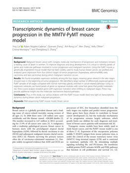 Transcriptomic Dynamics of Breast Cancer