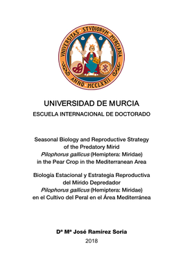 Universidad De Murcia