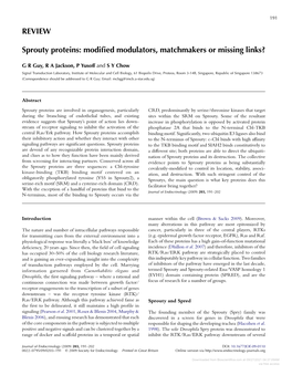 REVIEW Sprouty Proteins