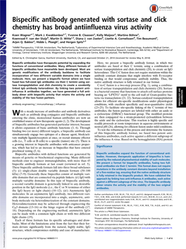 Bispecific Antibody Generated with Sortase and Click Chemistry Has Broad Antiinfluenza Virus Activity