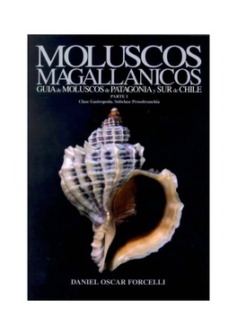 Moluscos Magallánicos I