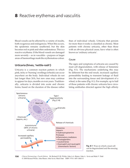 8 Reactive Erythemas and Vasculitis