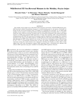 Wild-Derived XY Sex-Reversal Mutants in the Medaka, Oryzias Latipes