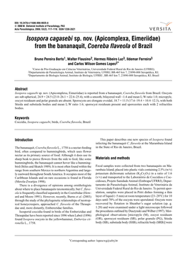 (Apicomplexa, Eimeriidae) from the Bananaquit, Coereba Flaveola of Brazil