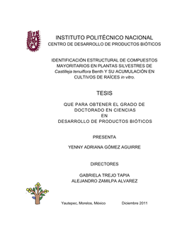 Instituto Politécnico Nacional Tesis