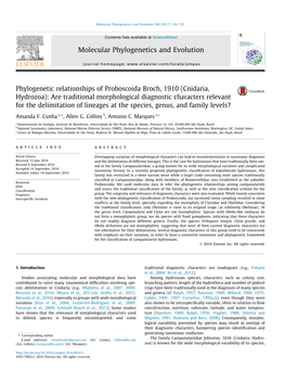 Phylogenetic Relationships of Proboscoida Broch, 1910 (Cnidaria